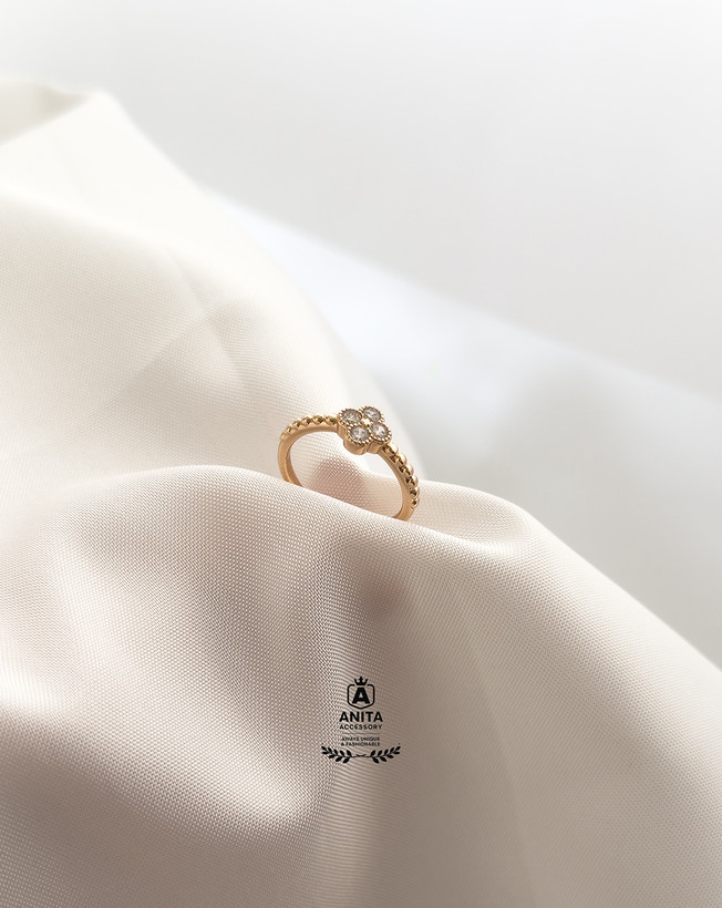 آنیتا اکسسوری