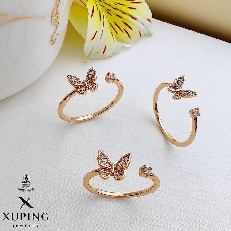 آنیتا اکسسوری